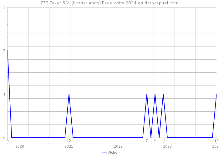 ZZP Zeker B.V. (Netherlands) Page visits 2024 