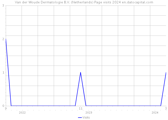 Van der Woude Dermatologie B.V. (Netherlands) Page visits 2024 