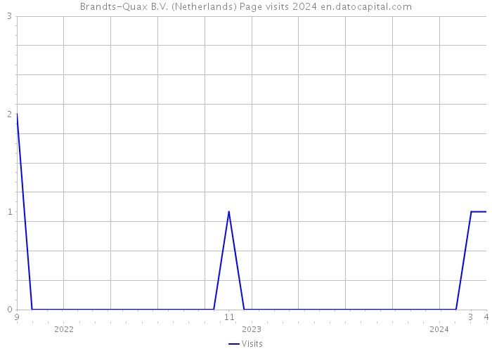 Brandts-Quax B.V. (Netherlands) Page visits 2024 