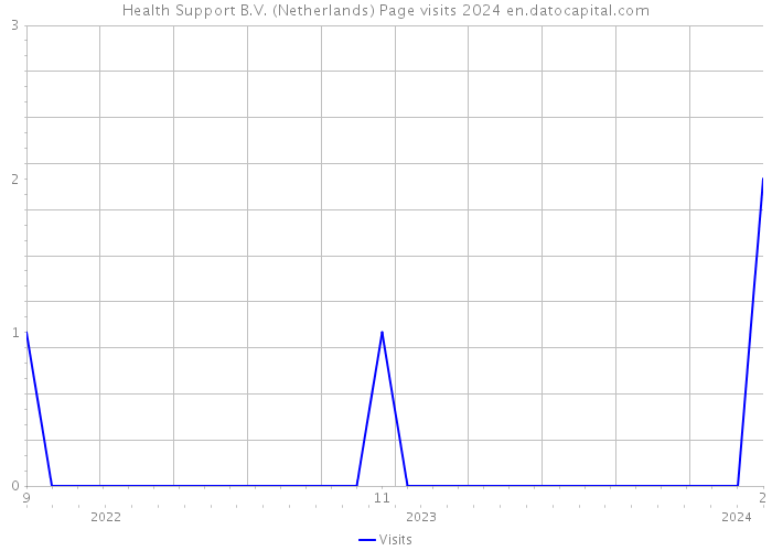 Health Support B.V. (Netherlands) Page visits 2024 