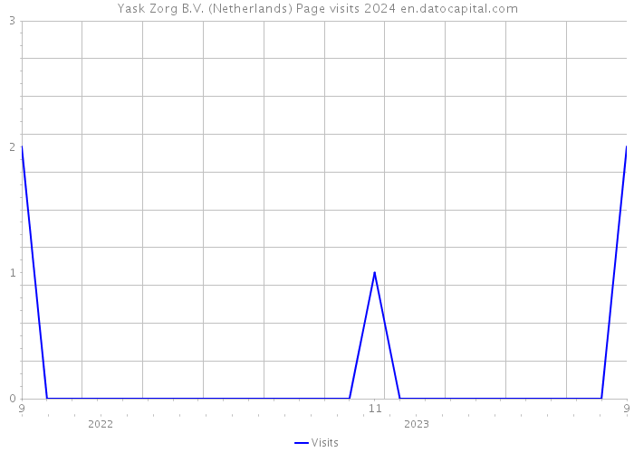Yask Zorg B.V. (Netherlands) Page visits 2024 