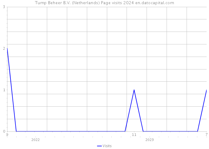Tump Beheer B.V. (Netherlands) Page visits 2024 