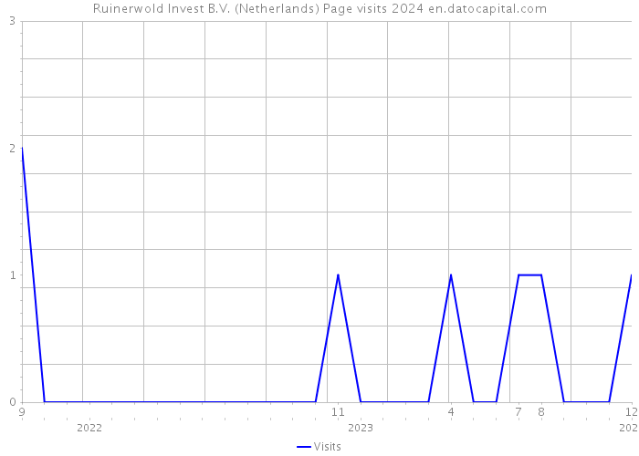 Ruinerwold Invest B.V. (Netherlands) Page visits 2024 