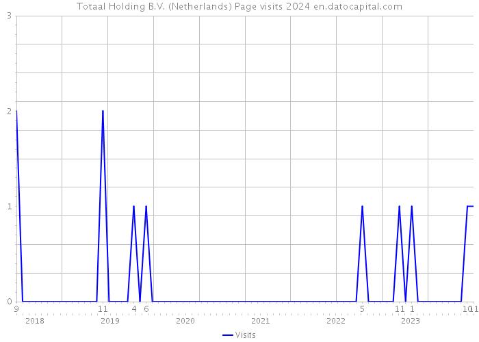 Totaal Holding B.V. (Netherlands) Page visits 2024 