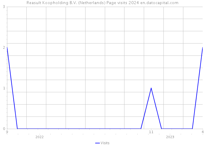 Reasult Koopholding B.V. (Netherlands) Page visits 2024 