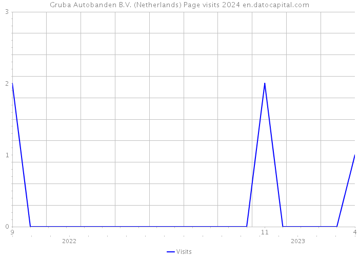 Gruba Autobanden B.V. (Netherlands) Page visits 2024 