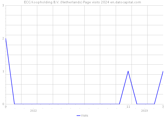 ECG Koopholding B.V. (Netherlands) Page visits 2024 