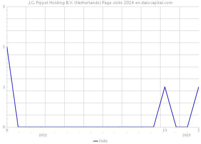J.G. Pippel Holding B.V. (Netherlands) Page visits 2024 