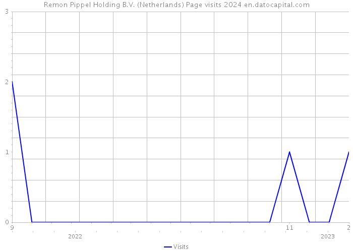 Remon Pippel Holding B.V. (Netherlands) Page visits 2024 