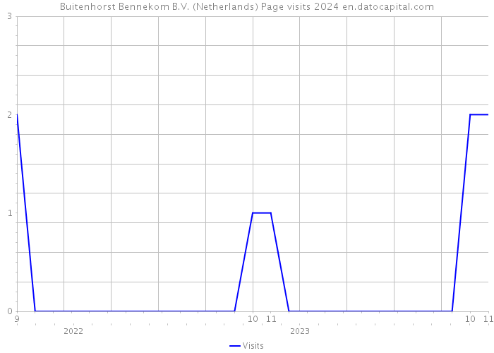 Buitenhorst Bennekom B.V. (Netherlands) Page visits 2024 