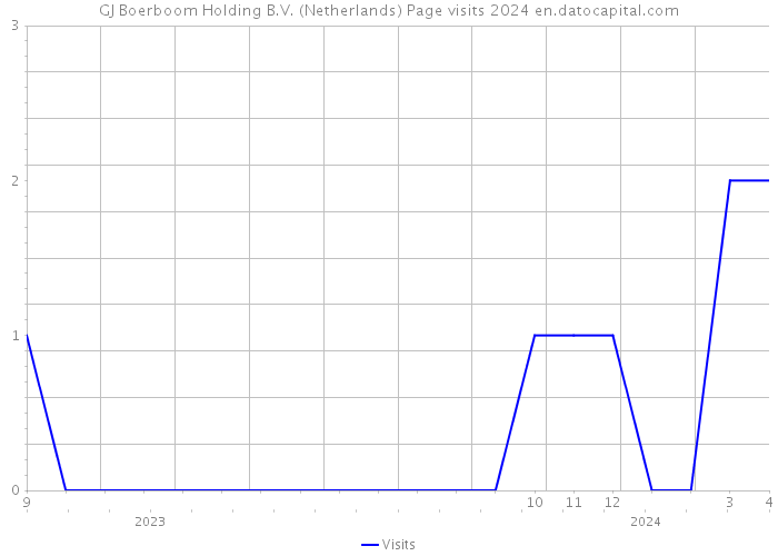 GJ Boerboom Holding B.V. (Netherlands) Page visits 2024 