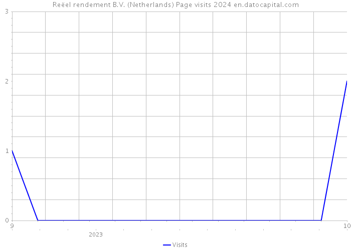 Reëel rendement B.V. (Netherlands) Page visits 2024 