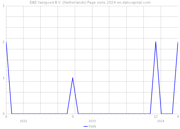 E&E Vastgoed B.V. (Netherlands) Page visits 2024 