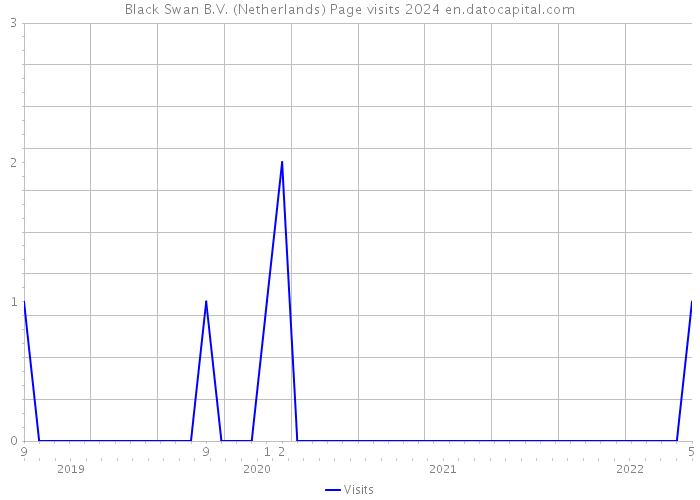 Black Swan B.V. (Netherlands) Page visits 2024 