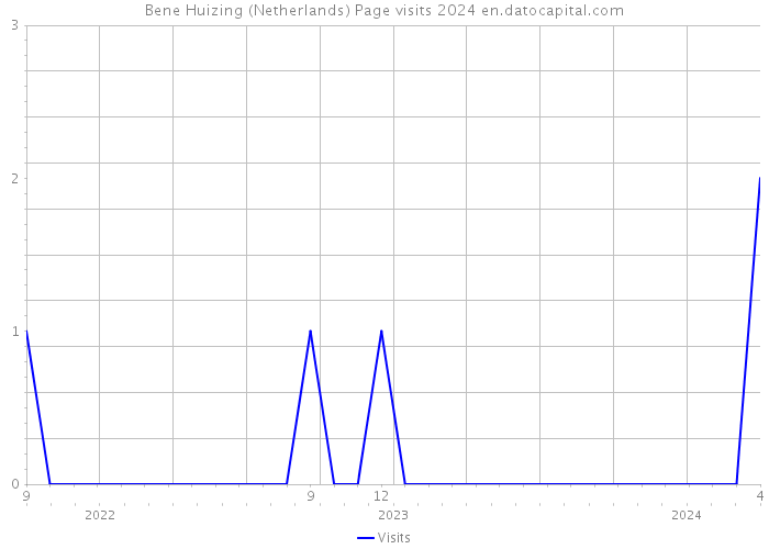 Bene Huizing (Netherlands) Page visits 2024 