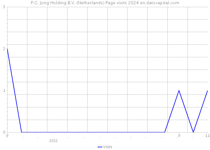 P.C. Jong Holding B.V. (Netherlands) Page visits 2024 
