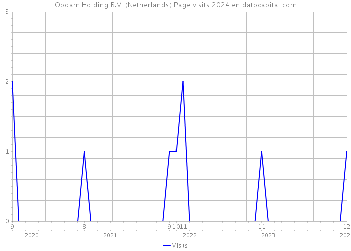 Opdam Holding B.V. (Netherlands) Page visits 2024 
