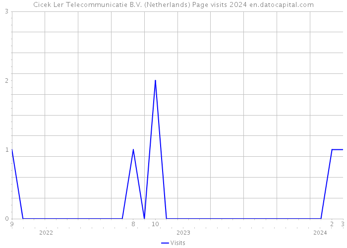 Cicek Ler Telecommunicatie B.V. (Netherlands) Page visits 2024 