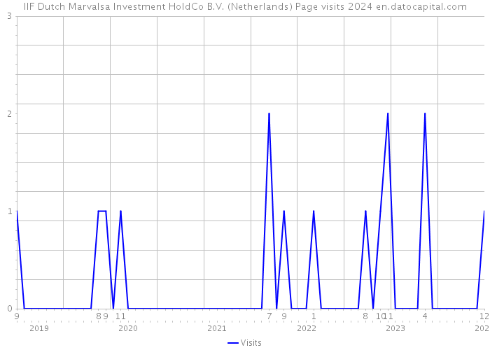 IIF Dutch Marvalsa Investment HoldCo B.V. (Netherlands) Page visits 2024 