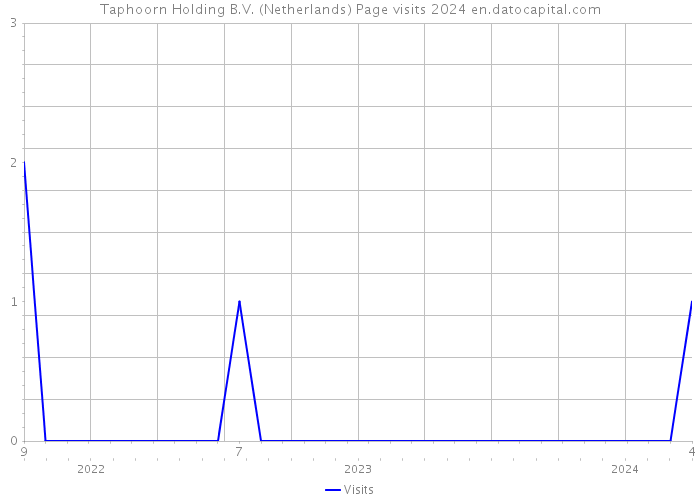 Taphoorn Holding B.V. (Netherlands) Page visits 2024 