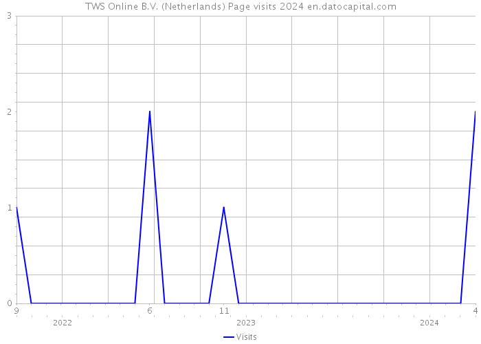 TWS Online B.V. (Netherlands) Page visits 2024 