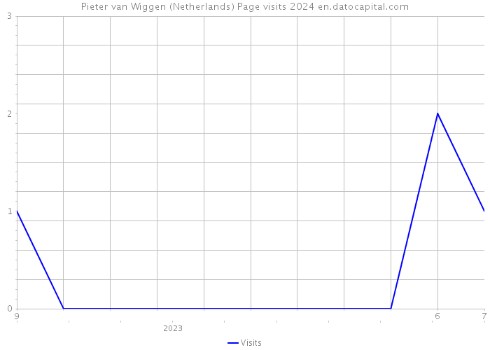 Pieter van Wiggen (Netherlands) Page visits 2024 