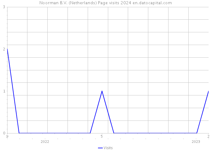 Noorman B.V. (Netherlands) Page visits 2024 