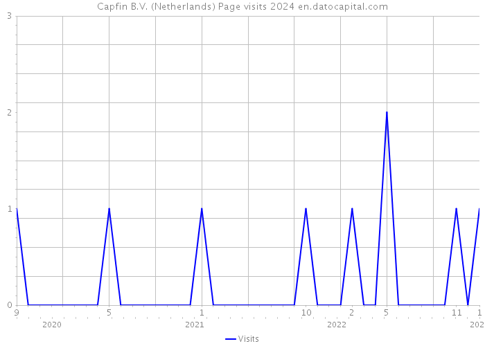 Capfin B.V. (Netherlands) Page visits 2024 
