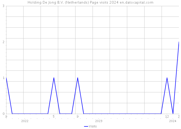 Holding De Jong B.V. (Netherlands) Page visits 2024 