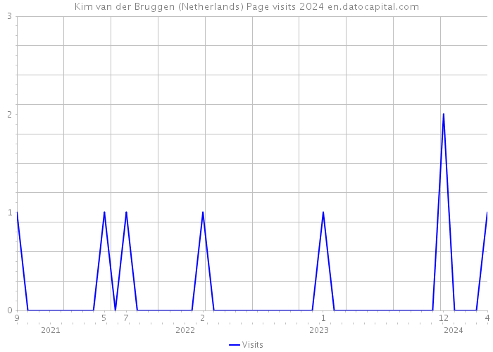 Kim van der Bruggen (Netherlands) Page visits 2024 