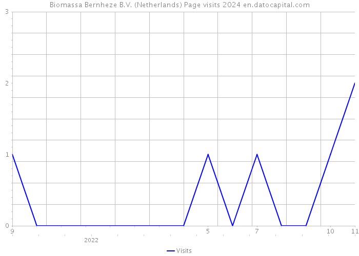 Biomassa Bernheze B.V. (Netherlands) Page visits 2024 