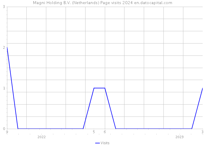 Magni Holding B.V. (Netherlands) Page visits 2024 