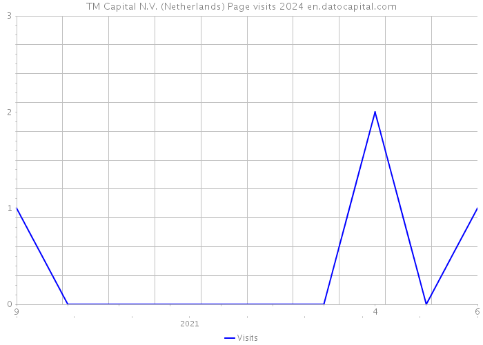 TM Capital N.V. (Netherlands) Page visits 2024 