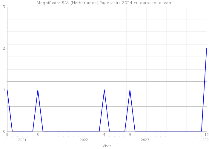 Magnificare B.V. (Netherlands) Page visits 2024 