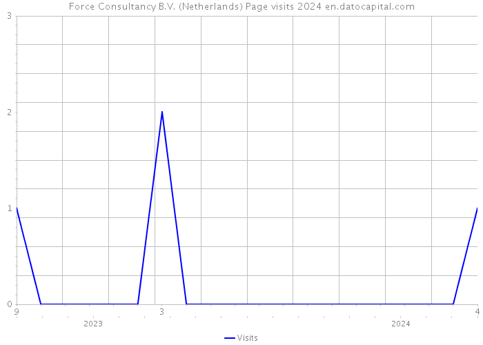 Force Consultancy B.V. (Netherlands) Page visits 2024 