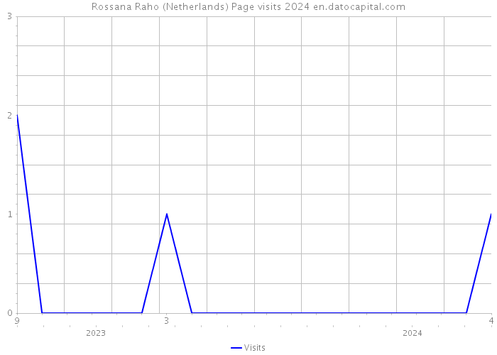 Rossana Raho (Netherlands) Page visits 2024 