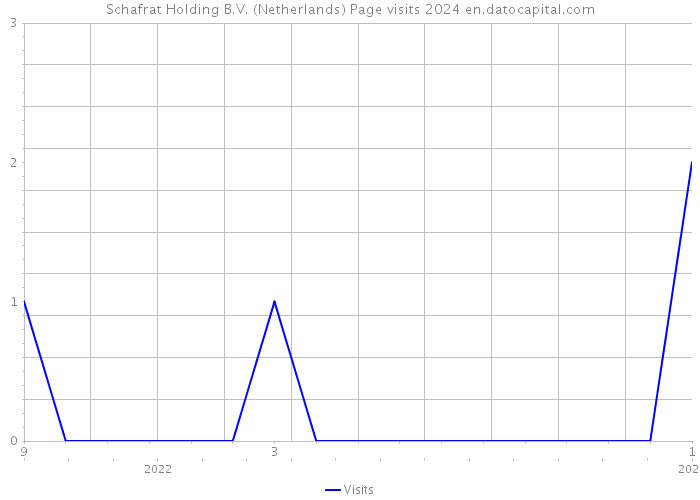 Schafrat Holding B.V. (Netherlands) Page visits 2024 