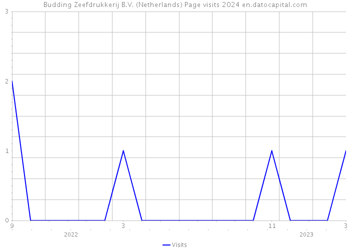 Budding Zeefdrukkerij B.V. (Netherlands) Page visits 2024 