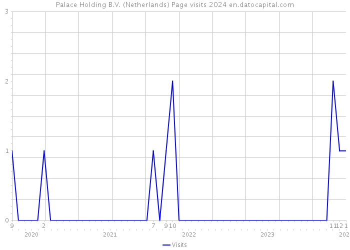 Palace Holding B.V. (Netherlands) Page visits 2024 