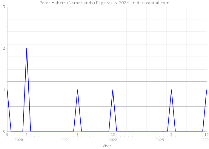 Peter Hubers (Netherlands) Page visits 2024 