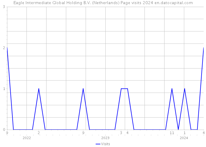Eagle Intermediate Global Holding B.V. (Netherlands) Page visits 2024 
