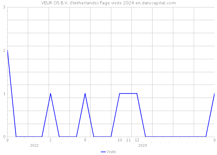 VEUR OS B.V. (Netherlands) Page visits 2024 