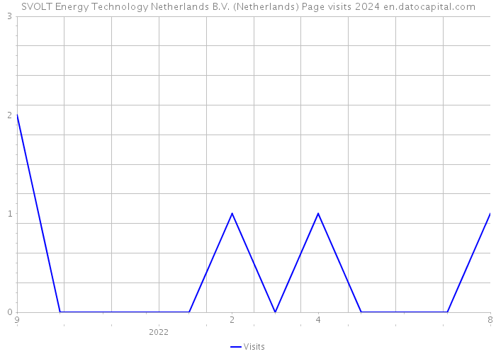 SVOLT Energy Technology Netherlands B.V. (Netherlands) Page visits 2024 