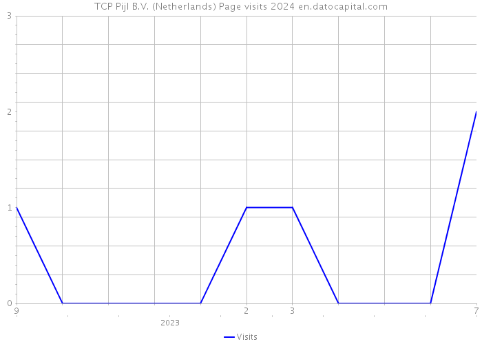 TCP Pijl B.V. (Netherlands) Page visits 2024 
