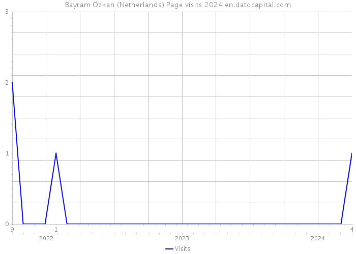 Bayram Özkan (Netherlands) Page visits 2024 