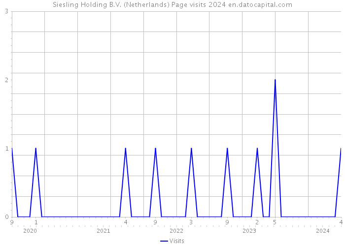 Siesling Holding B.V. (Netherlands) Page visits 2024 