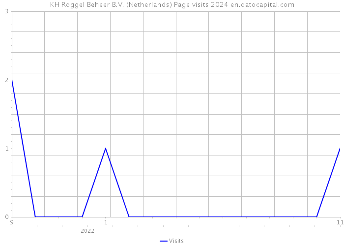 KH Roggel Beheer B.V. (Netherlands) Page visits 2024 