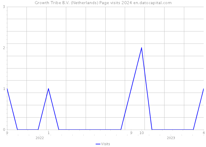 Growth Tribe B.V. (Netherlands) Page visits 2024 