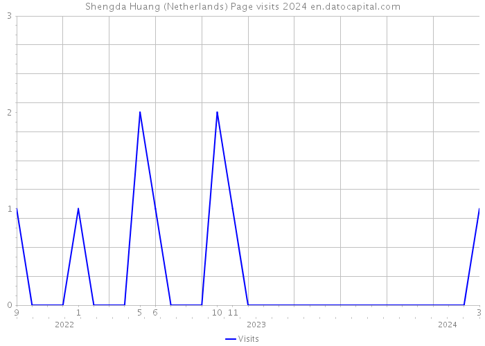 Shengda Huang (Netherlands) Page visits 2024 