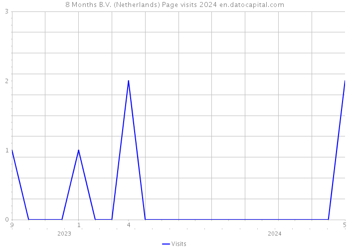 8 Months B.V. (Netherlands) Page visits 2024 